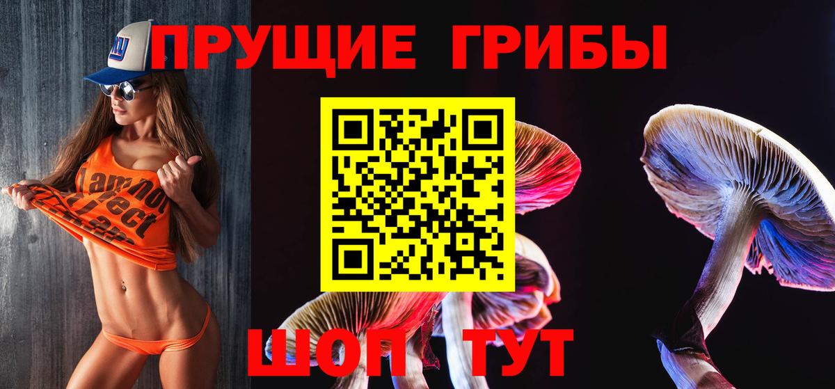 Галлюциногенные грибы мицелий Александров
