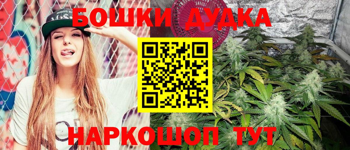 Александров  Шишки марихуана White Widow  Конопля сатива  Вход с VPN  Марихуана Amnesia 